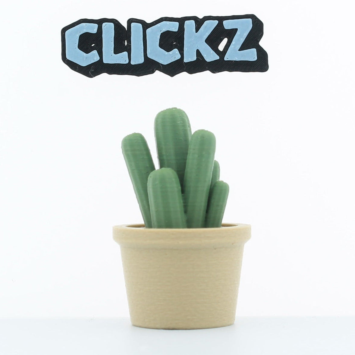 cactussen (set van 4)
