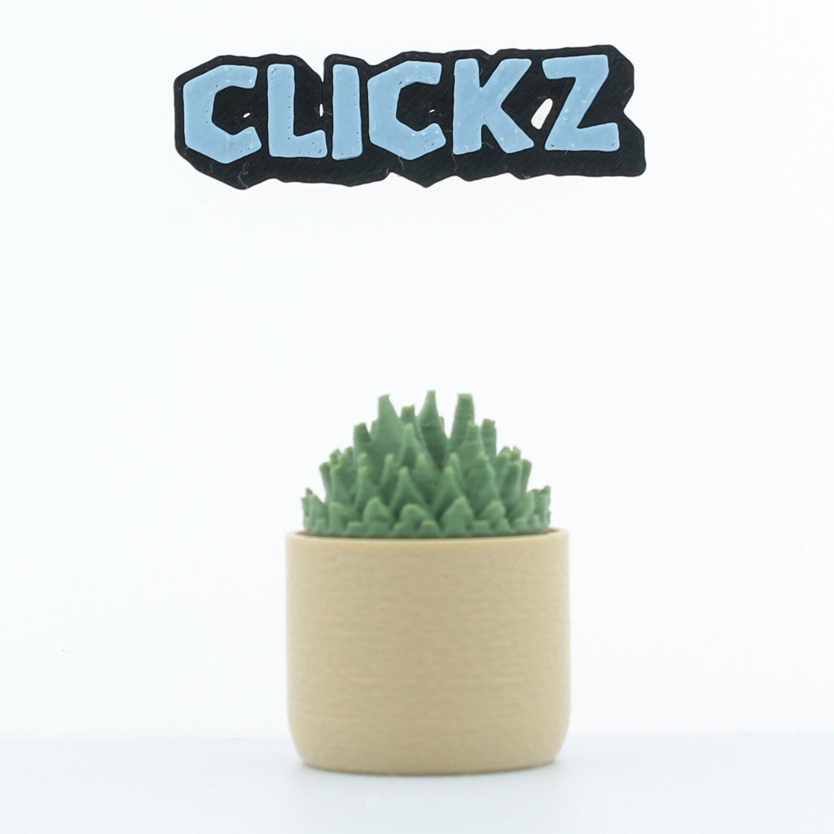 cactussen (set van 4)