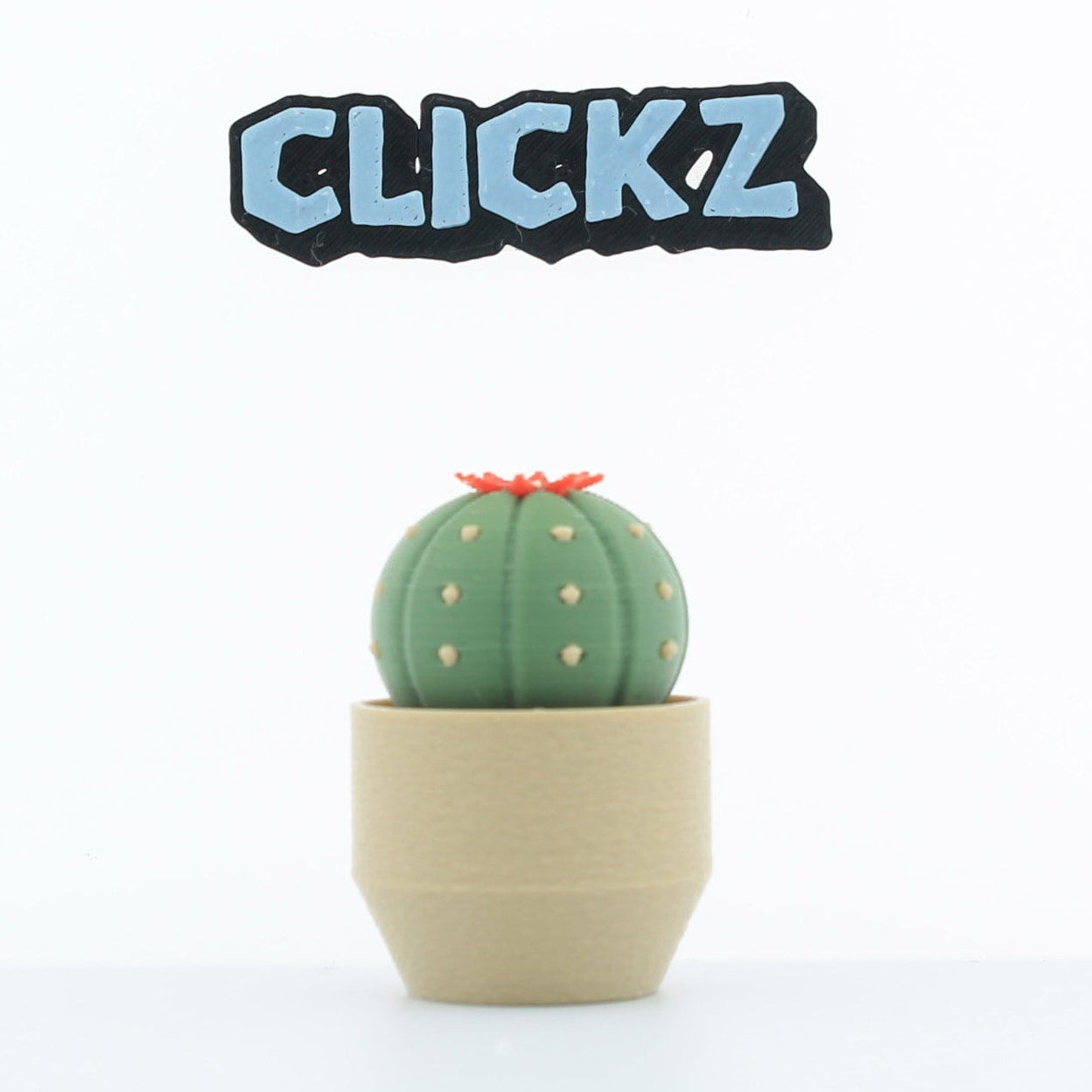 cactussen (set van 4)