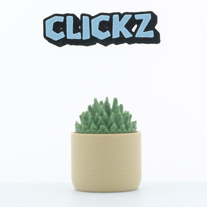 cactussen (set van 4)