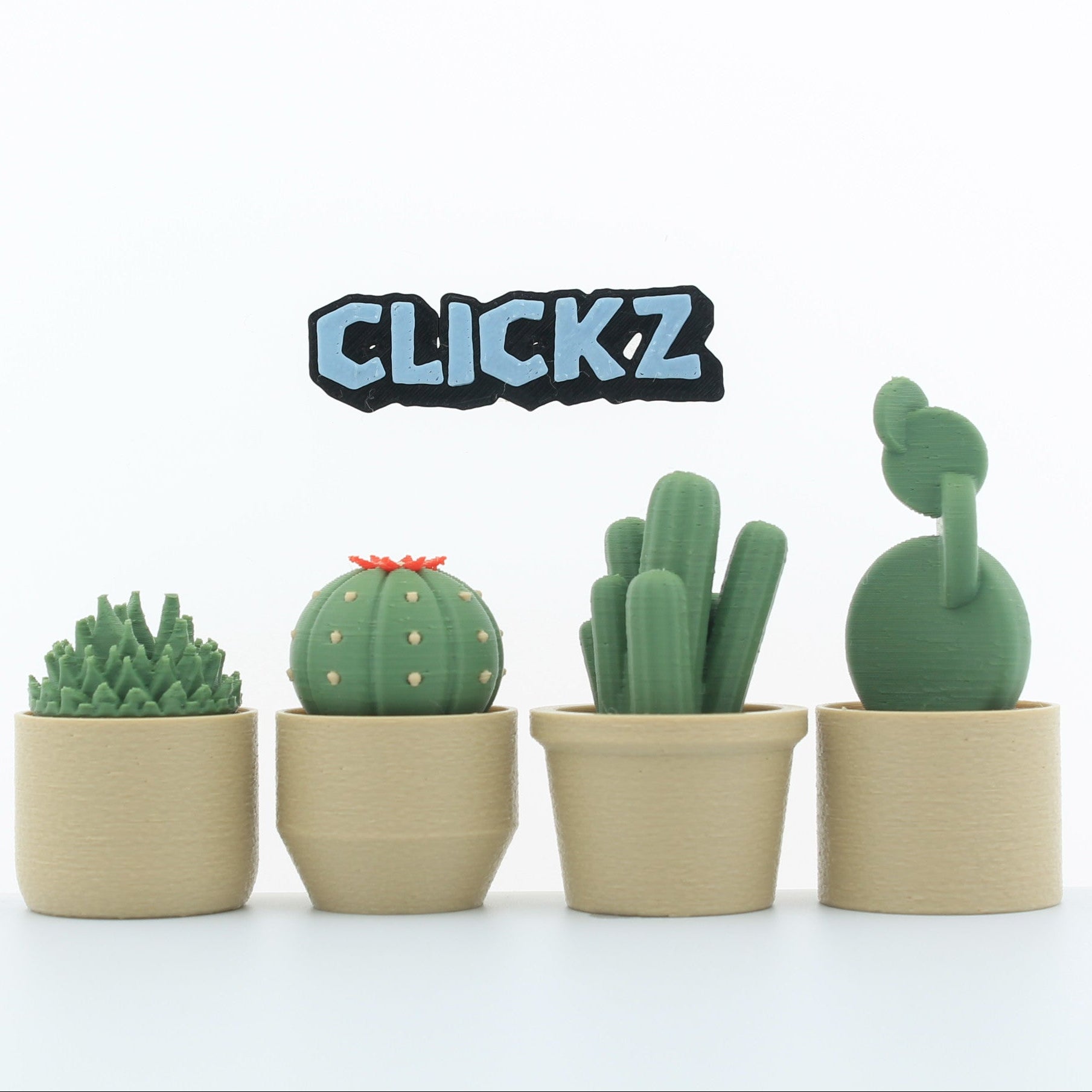 cactussen (set van 4)
