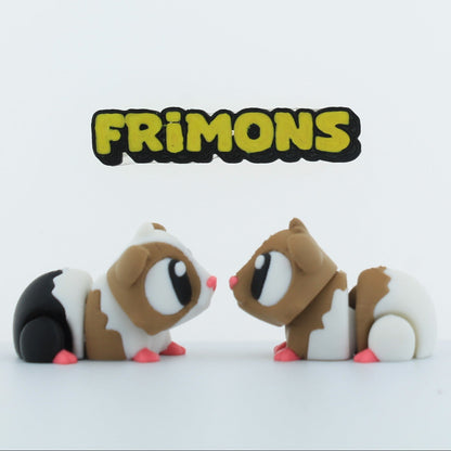 Calvin , Claire en Casper Cavia (set van 2)